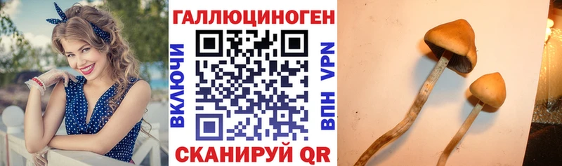 Галлюциногенные грибы MAGIC MUSHROOMS  Купить закладки  Усть-Илимск 